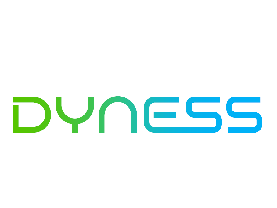 DYNESS
