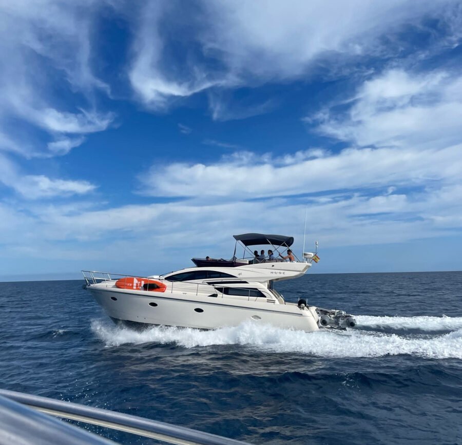 Rodman Muse 44